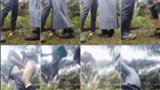 Viral Video 2025 The Warmth Of Love Indo Viral Video Abg Seragam Bolos Sekolah Demi Merasakan Tarikan Nafas di Kebun Sawit Top Global Wikwik Hijab Inara